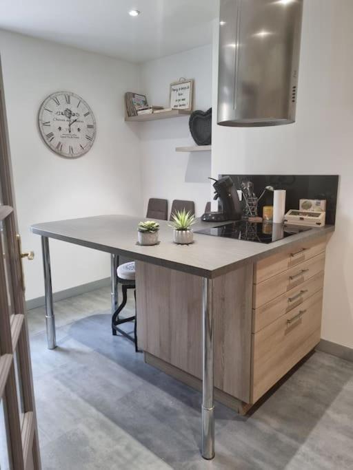 L'Ourse, Epinal,Tres Bel Appartement Quartier Port Exteriör bild